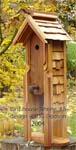 Cedar bird house (click to see larger image)