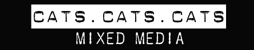 Cat Media Gallery