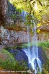 Silver Creek Falls (click to see larger image)