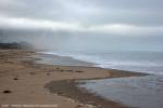Cape Lookout 2008 (click to see larger image)