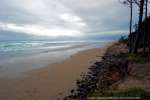 Cape Lookout 2008 (click to see larger image)